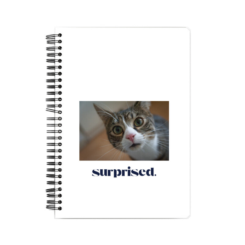 Front View - 5362291