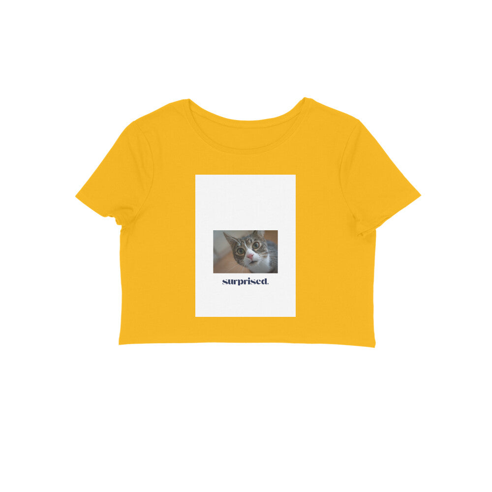 Front View - 5362315
